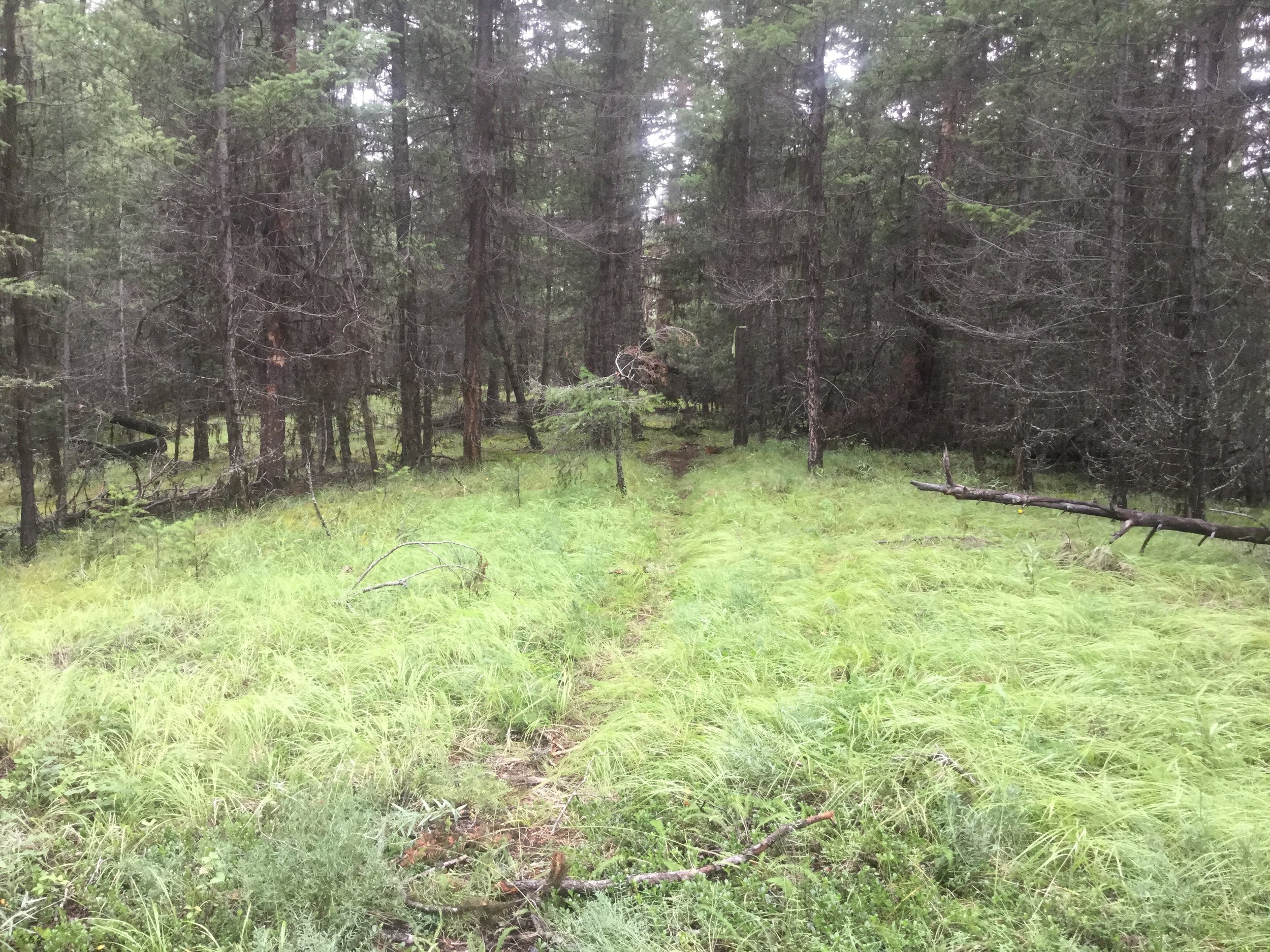 Archaeological site types in Kamloops, and beyond