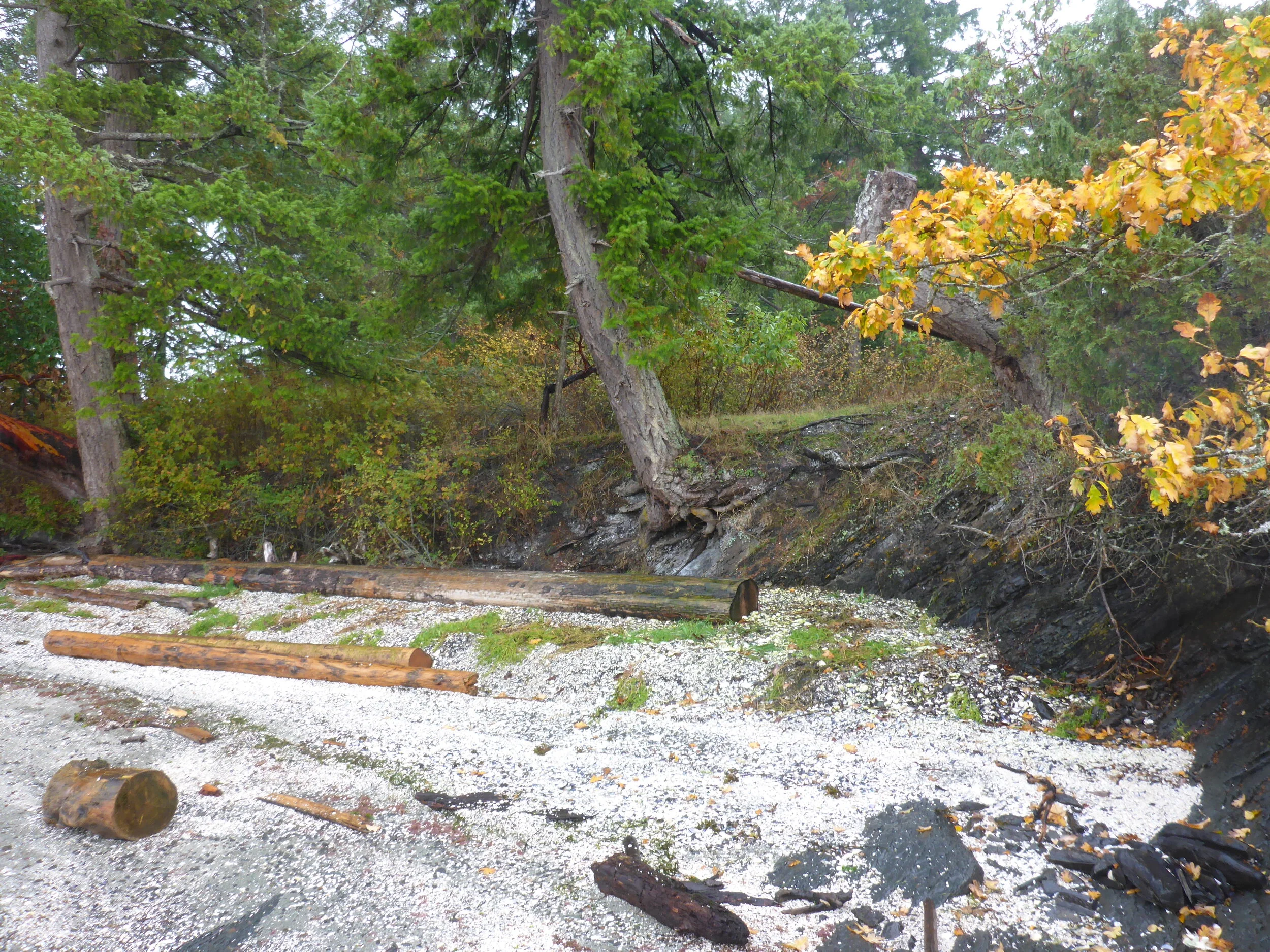 Managing the Loss of Cultural Heritage in the Face of Climate Change