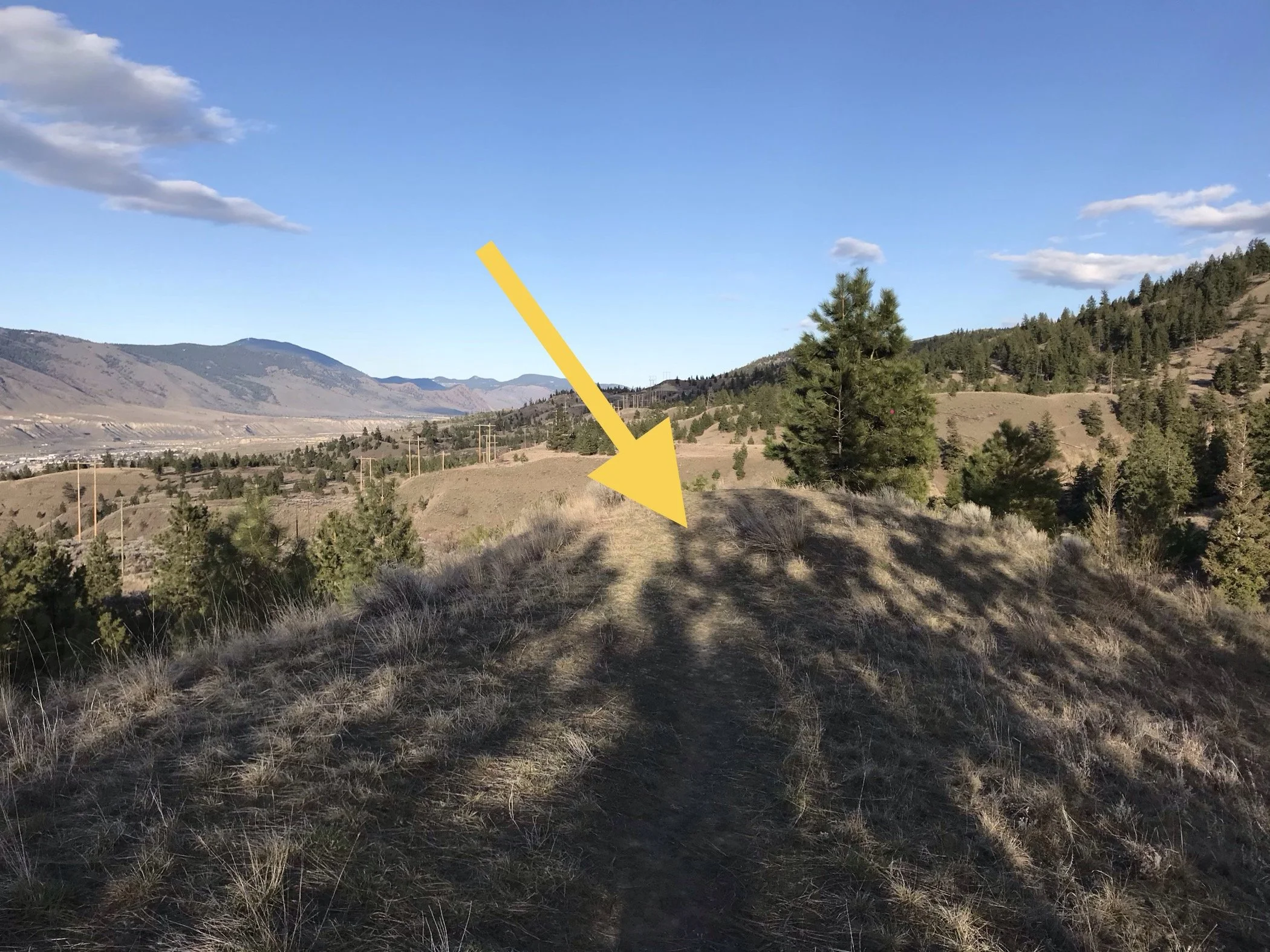 Stumbling upon an archeological site — what’s next?