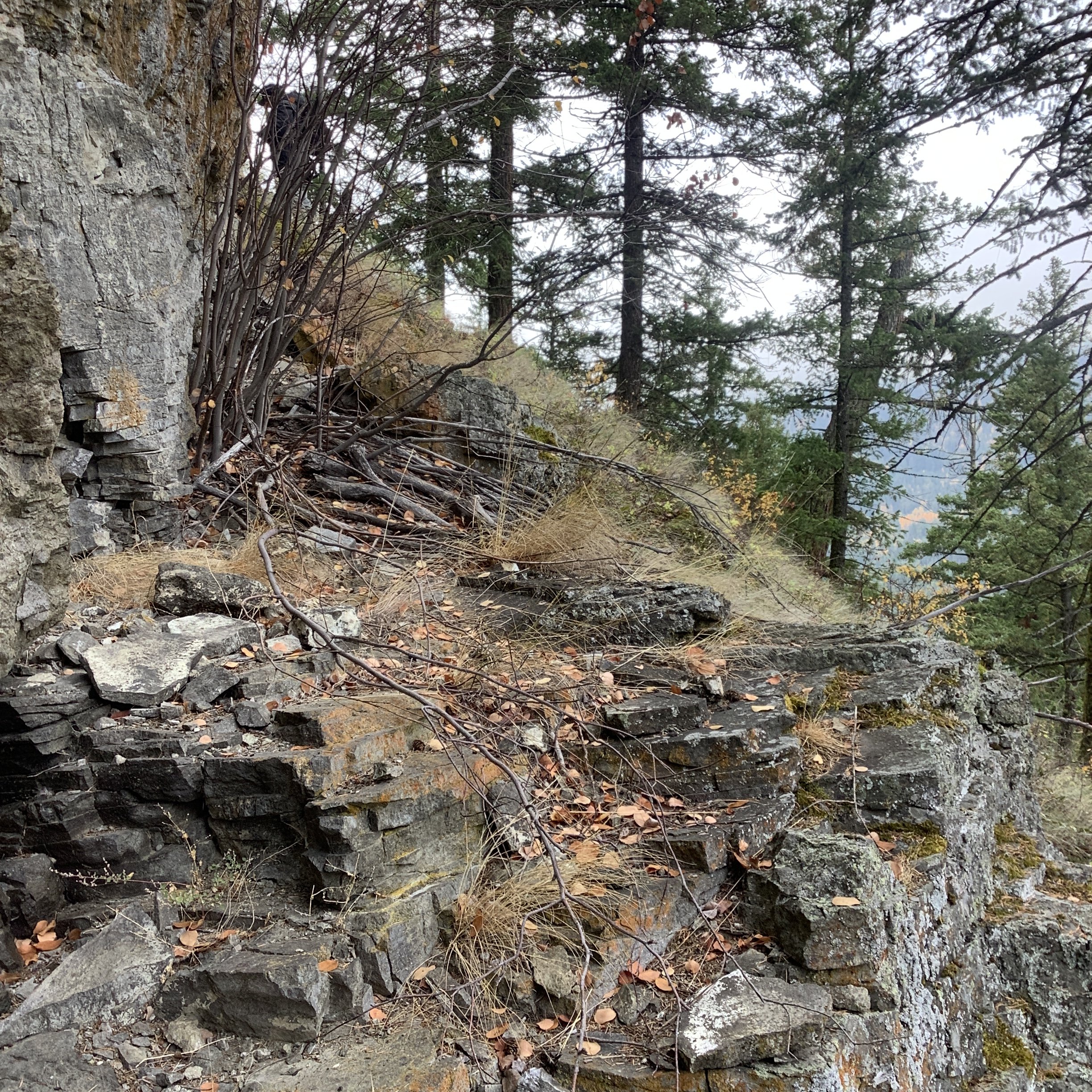 view toward a prominent cliff platform within an important landscape complex.JPG