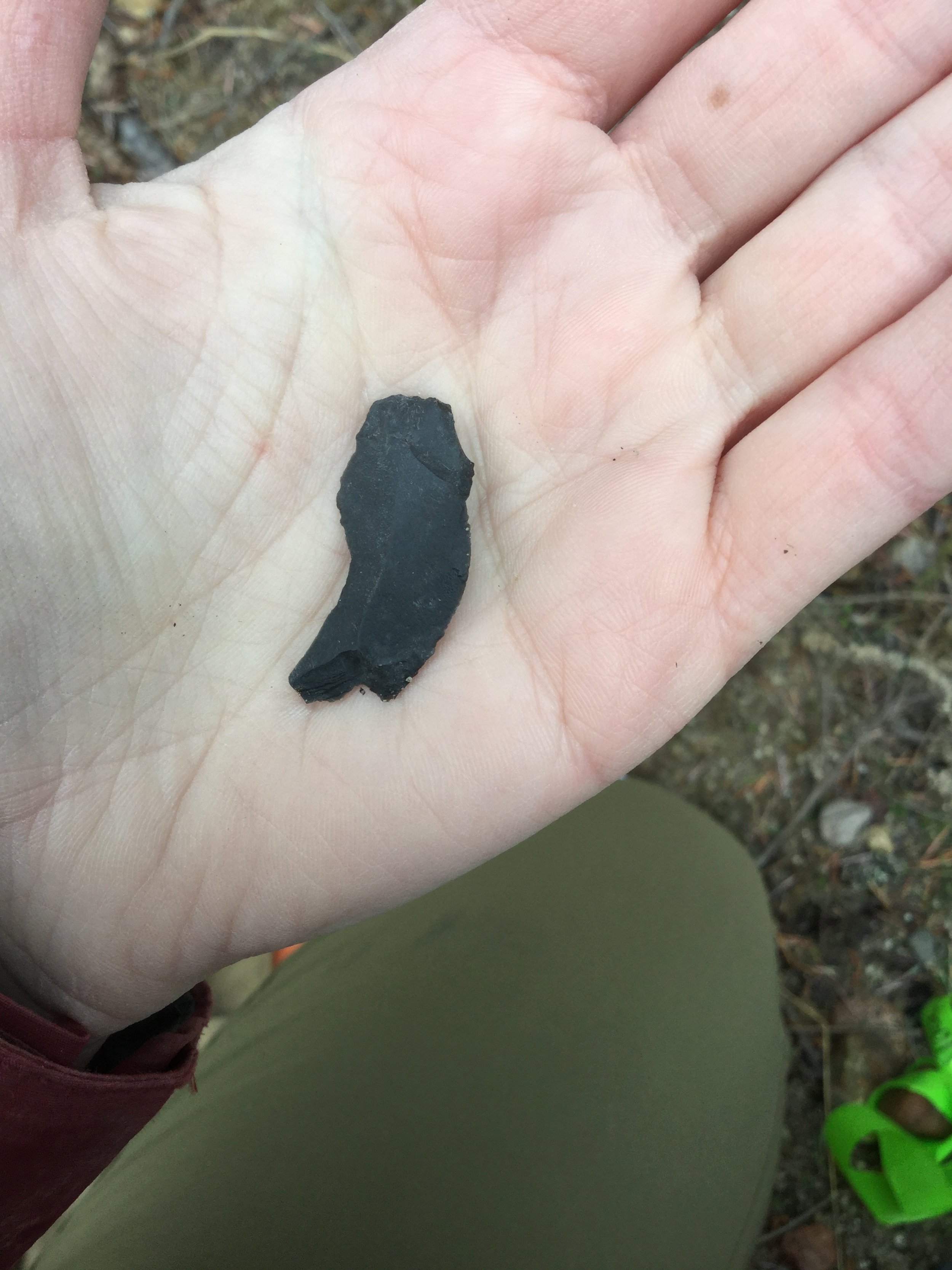 A basalt flake found on the ground surface.JPG
