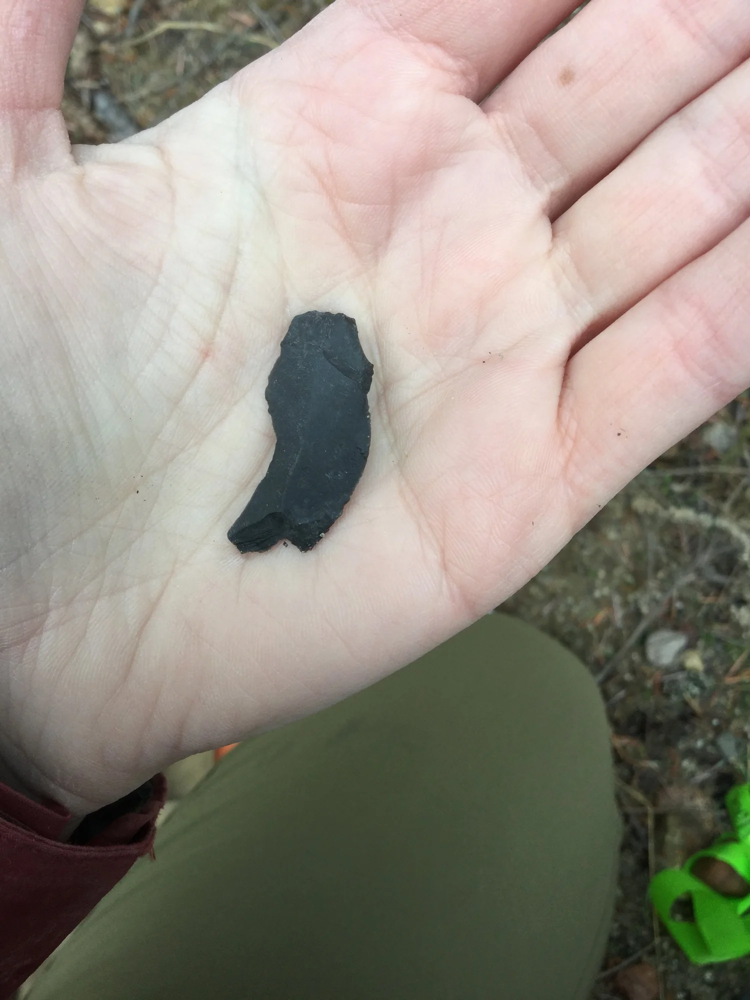 What's in a flake? — Republic of Archaeology