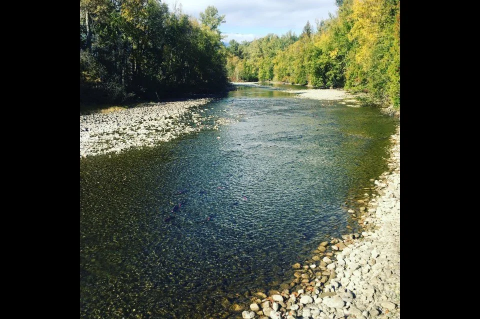 The rich history beneath the surface of BC Parks