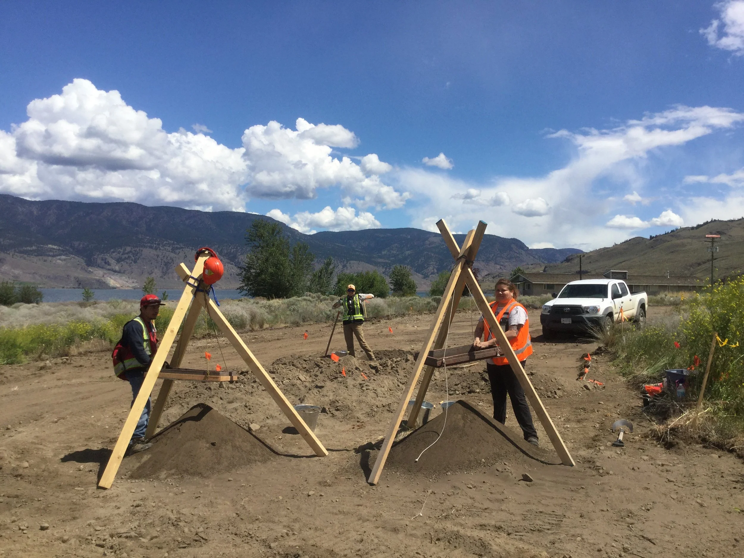 To dig or not to dig