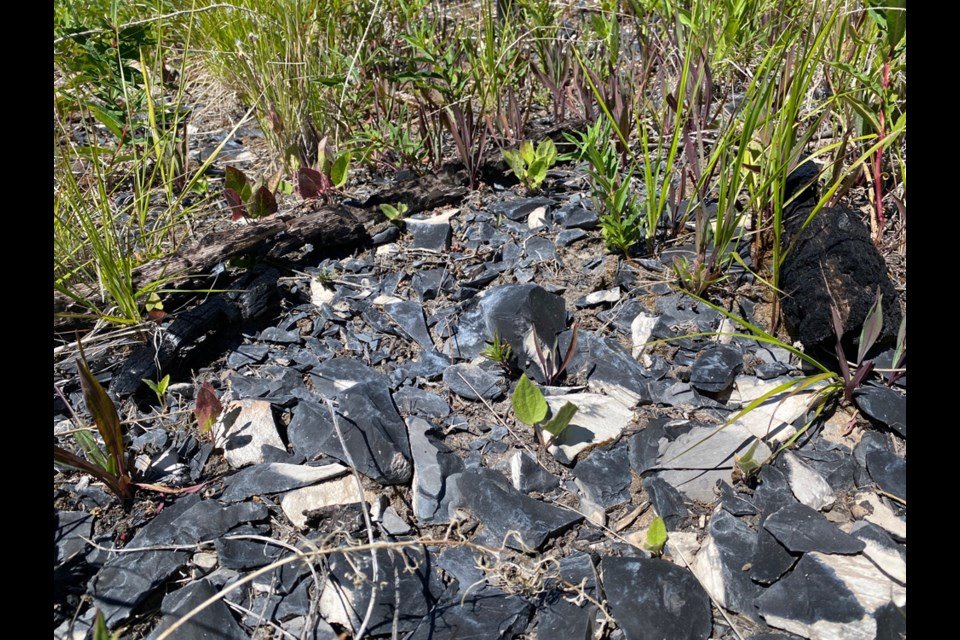 Reduction flakes at a quarry site, Arrowstone Hills.Katie Sperry.jpg