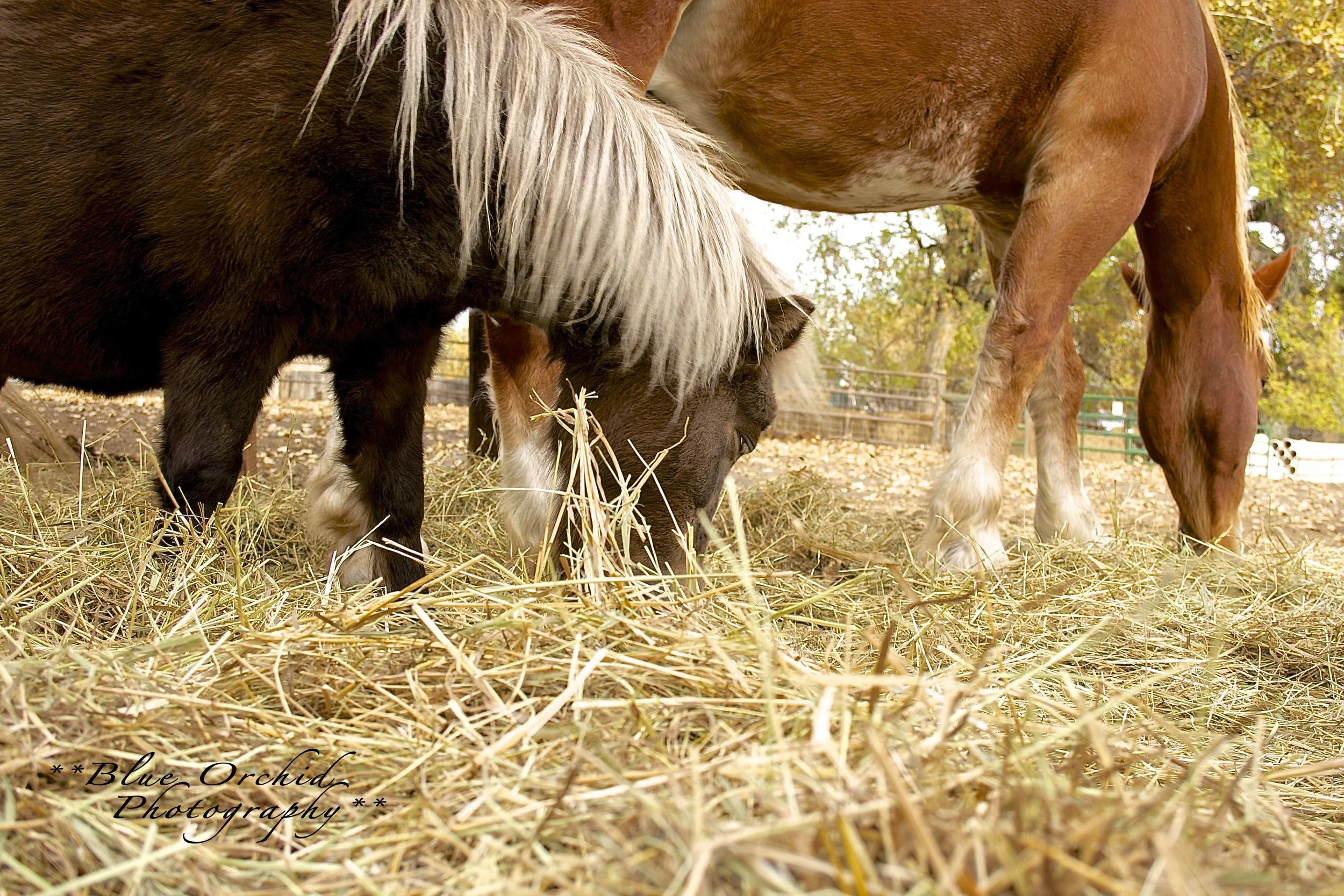 7th Generation 18.jpg