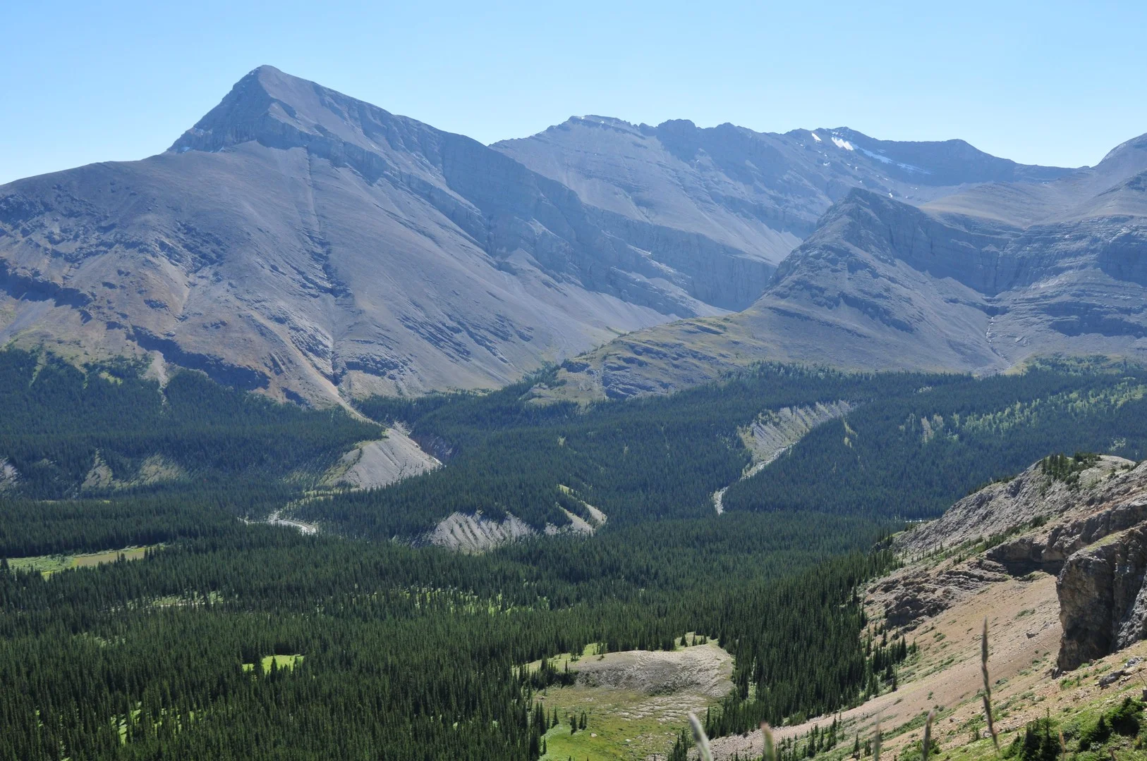 Cardinal River valley (1).jpg