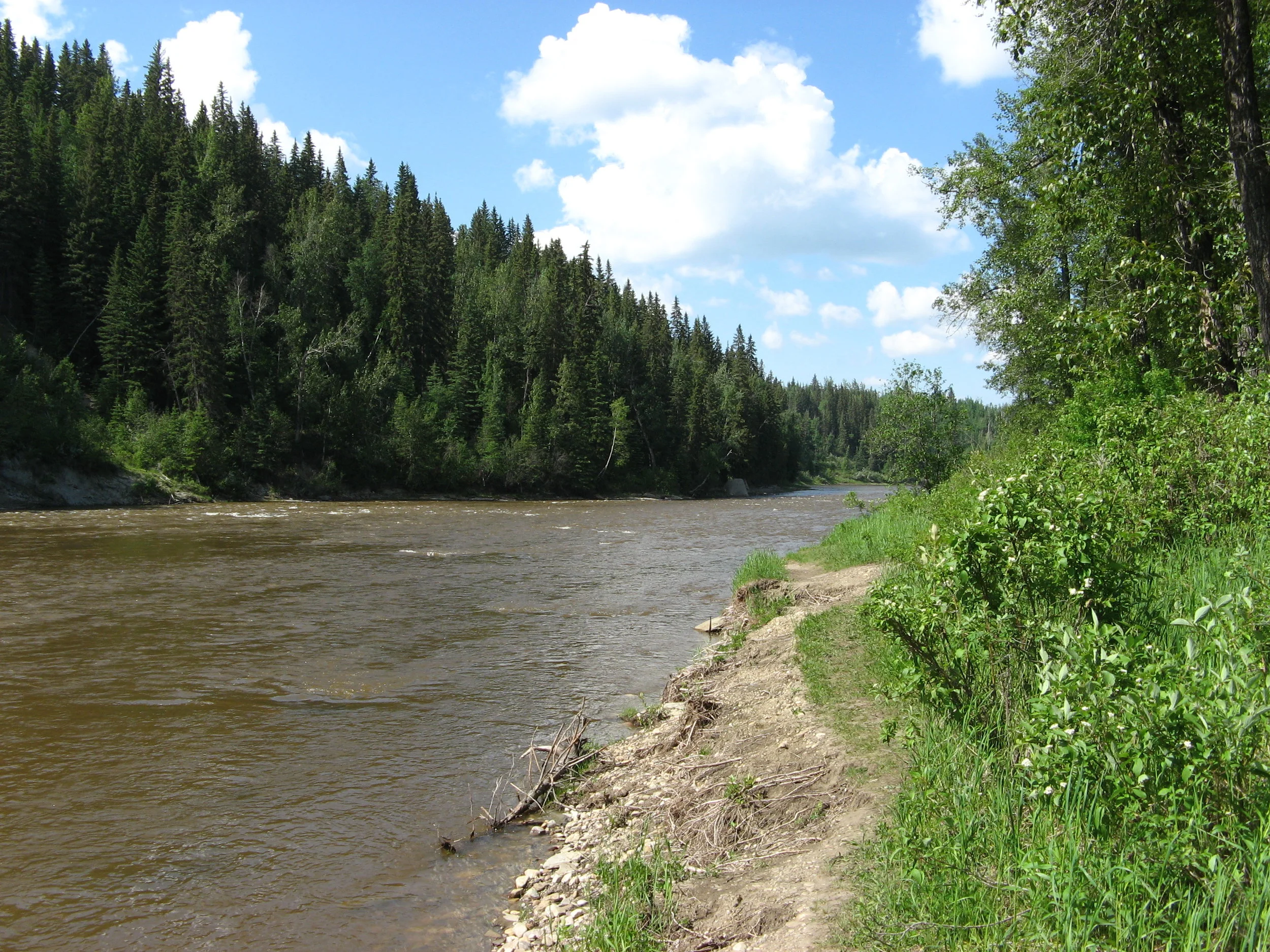 Pembina_River.JPG