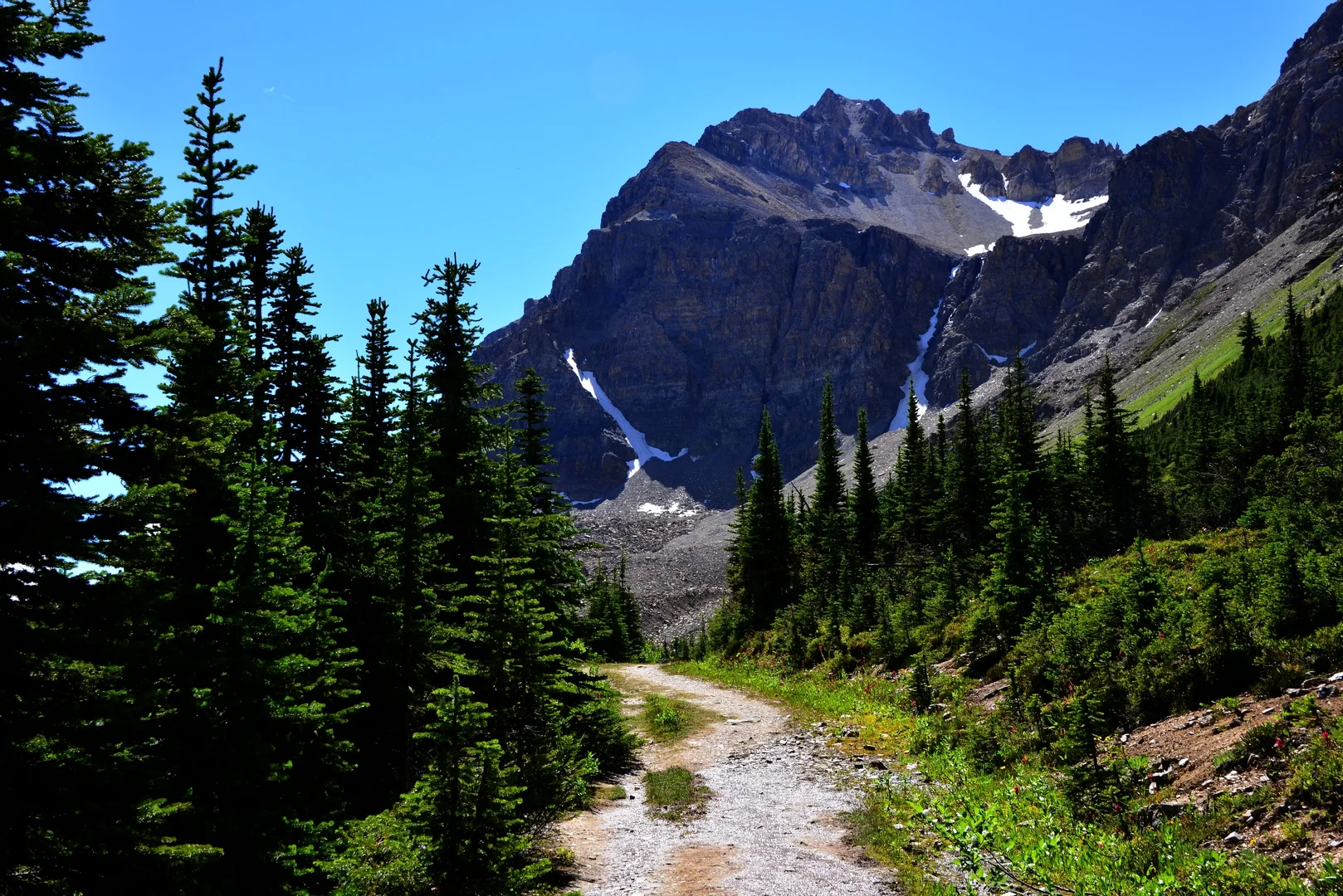 trail to Bow Summit lookout.JPG