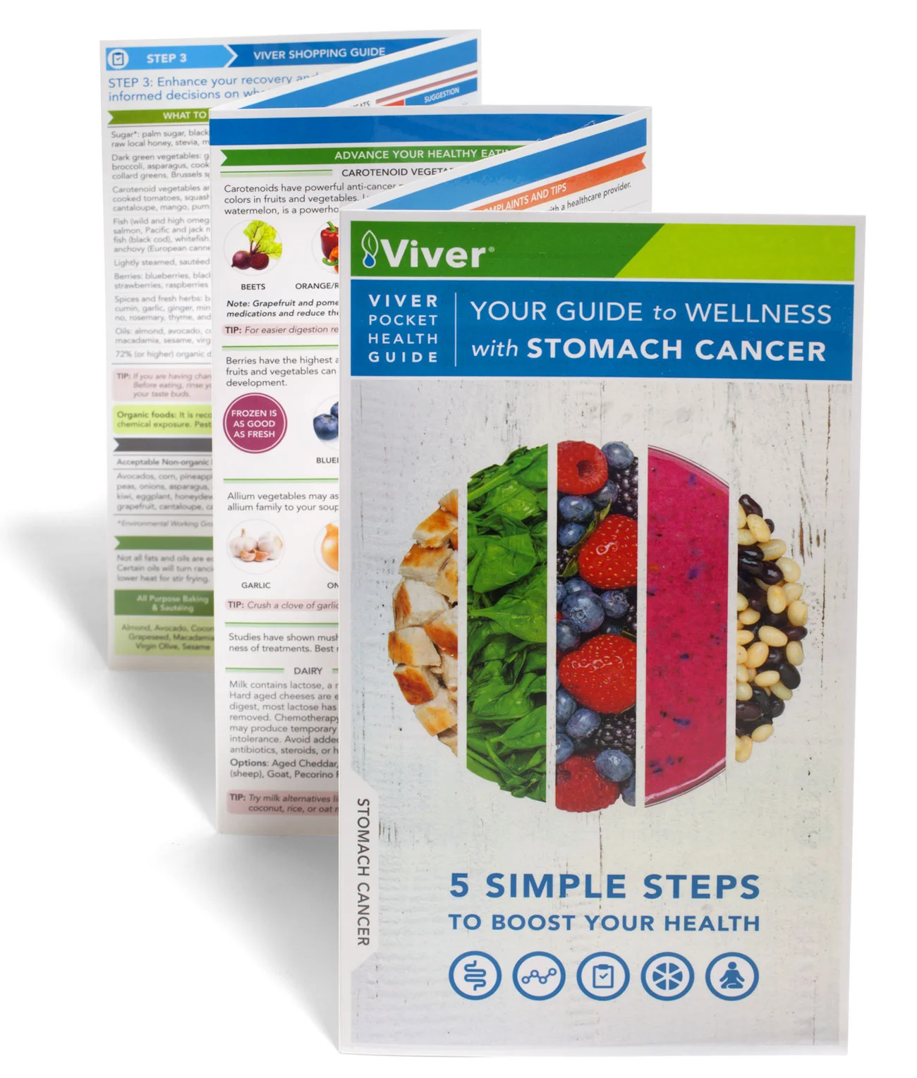 Your Guide to Wellness with Stomach Cancer is supported by Lilly USA and free for patients and care givers
