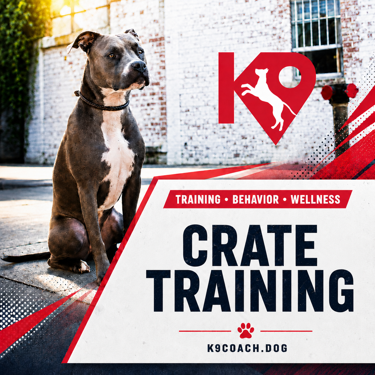 Crate Training Guide:   Puppies and Dogs