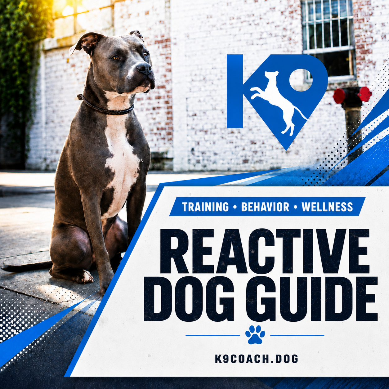reactive dog guide.png