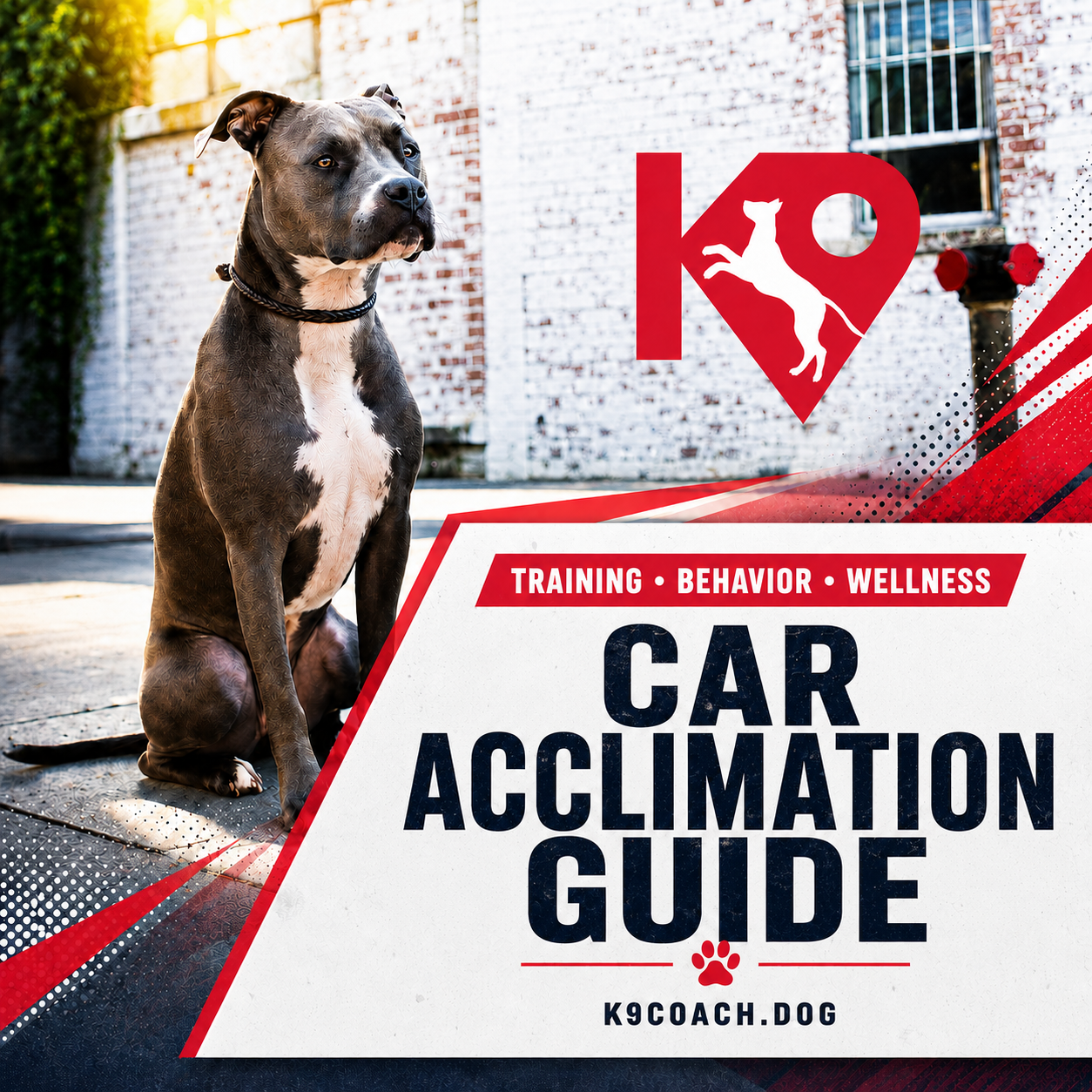 Car Acclimation Guide