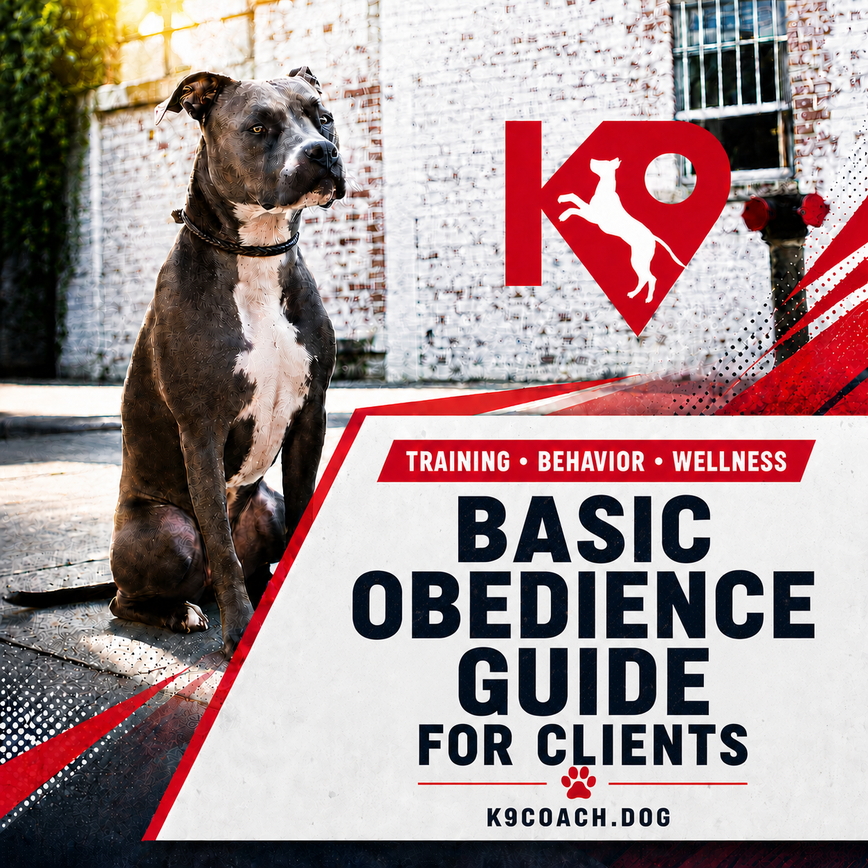 Dog Obedience Guide