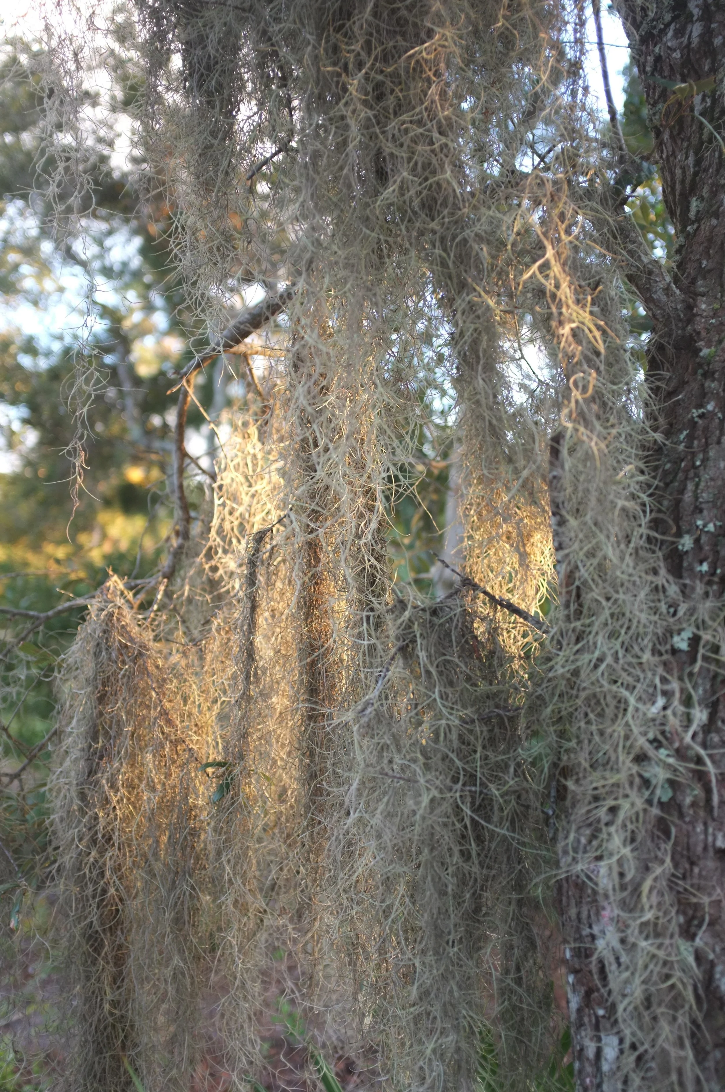 DSCF2127.JPG