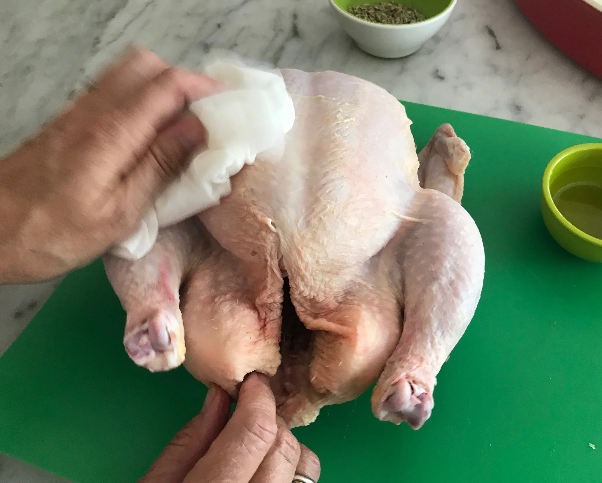 chix4.jpg