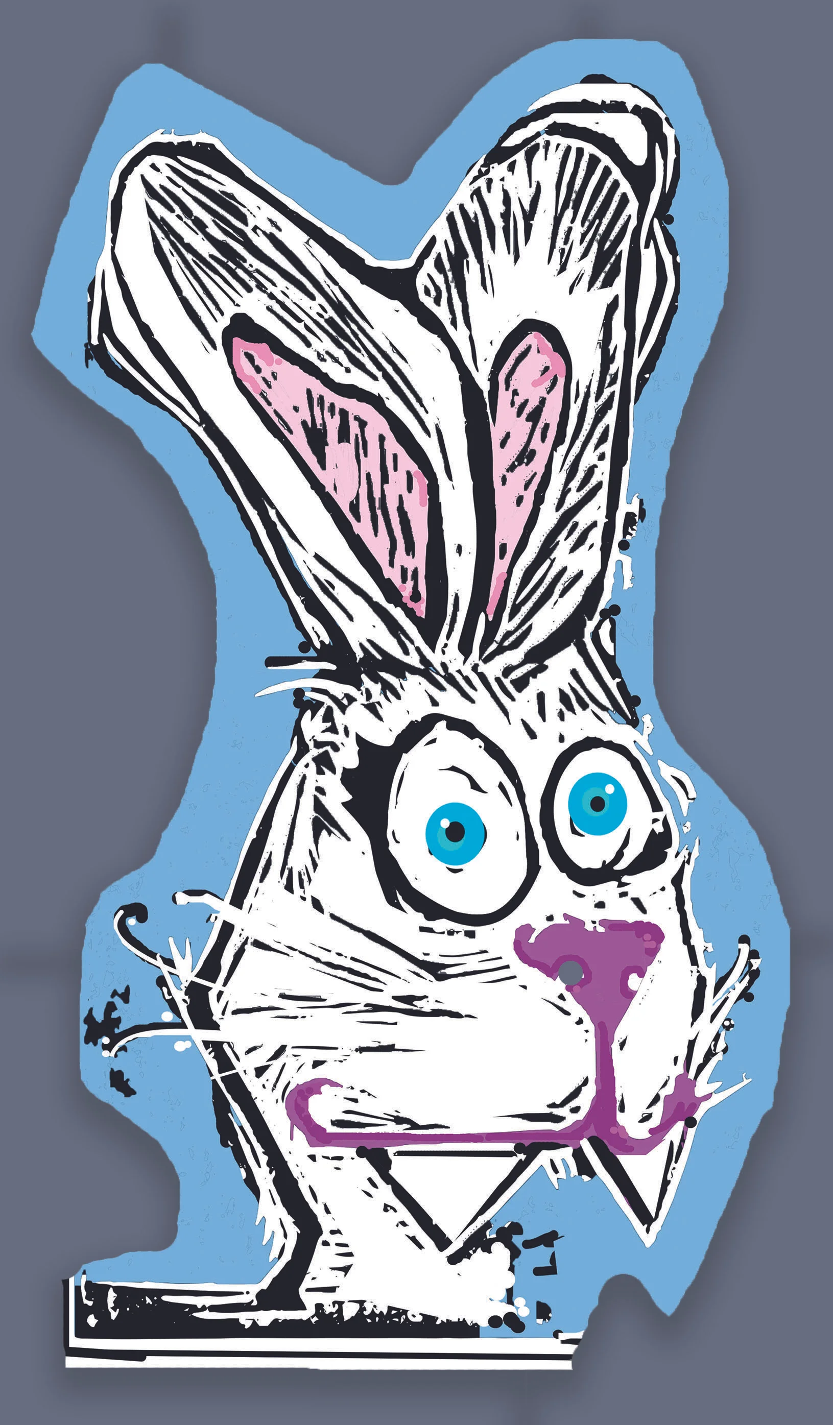 DS7BT BUNNY TIME
