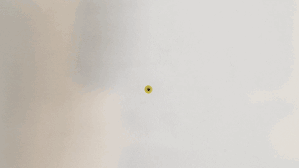 2.line-up-x.gif