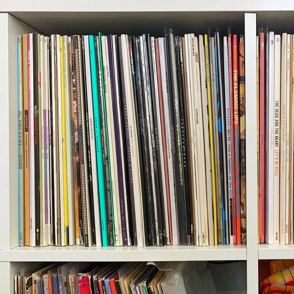 vinyl-record-display-spines-2.jpg