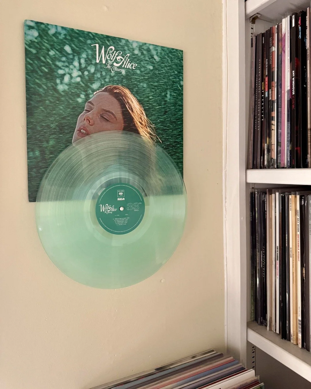 𝗪𝐨𝐥𝐟 𝐀𝐥𝐢𝐜𝐞 &ndash; 𝐓𝐡𝐞 𝐂𝐥𝐞𝐚𝐫𝐢𝐧𝐠 [𝟐𝟎𝟐𝟓] - 𝐋𝐢𝐦𝐢𝐭𝐞𝐝 𝐄𝐝𝐢𝐭𝐢𝐨𝐧 ⁣
𝘓𝘪𝘮𝘪𝘵𝘦𝘥 𝘦𝘥𝘪𝘵𝘪𝘰𝘯 𝘴𝘵𝘰𝘳𝘦 𝘦𝘹𝘤𝘭𝘶𝘴𝘪𝘷𝘦 𝘢𝘭𝘵𝘦𝘳𝘯𝘢𝘵𝘪𝘷𝘦 𝘤𝘰𝘷𝘦𝘳 𝘷𝘪𝘯𝘺𝘭. 𝘊𝘰𝘯𝘵𝘢𝘪𝘯𝘴 𝟷𝟸&rdquo; 𝘗𝘰𝘴𝘵𝘦𝘳 &amp;