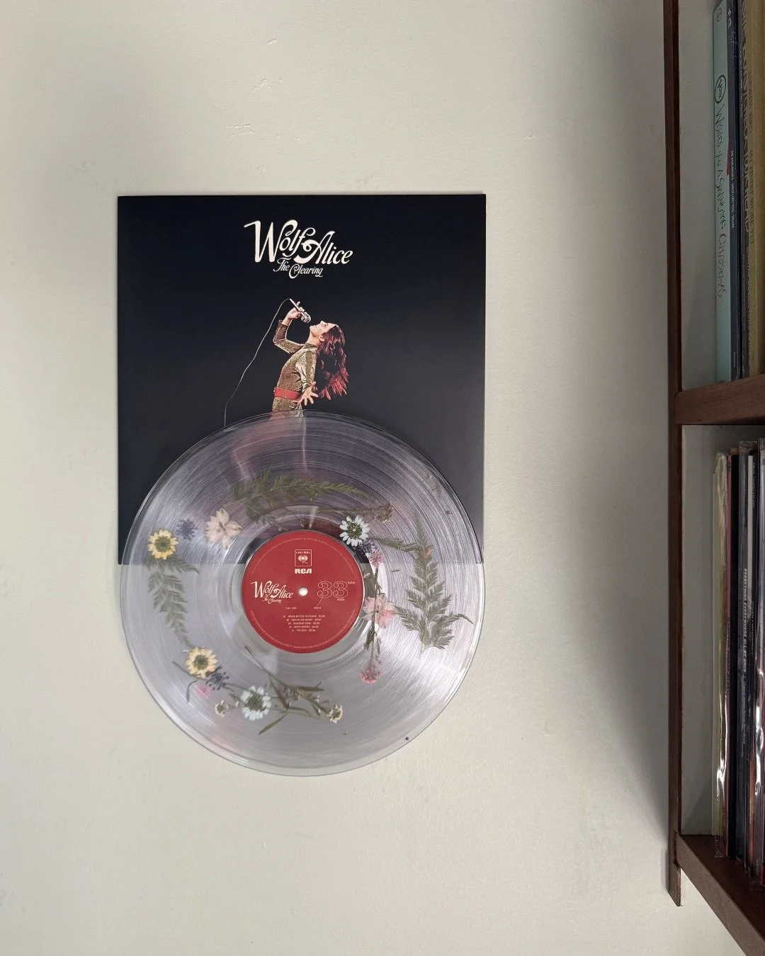 𝗪𝐨𝐥𝐟 𝐀𝐥𝐢𝐜𝐞 - 𝐓𝐡𝐞 𝐂𝐥𝐞𝐚𝐫𝐢𝐧𝐠 [𝟐𝟎𝟐𝟓] - 𝘍𝘭𝘰𝘸𝘦𝘳 𝘍𝘪𝘭𝘭𝘦𝘥 𝘌𝘥𝘪𝘵𝘪𝘰𝘯 ⁣
⁣
Flowers. In the record. All records deserve to be seen, but this one demands it.⁣
⁣
#WolfAlice #WolfAliceTheClearing #FlowerFilledEdition #recordl