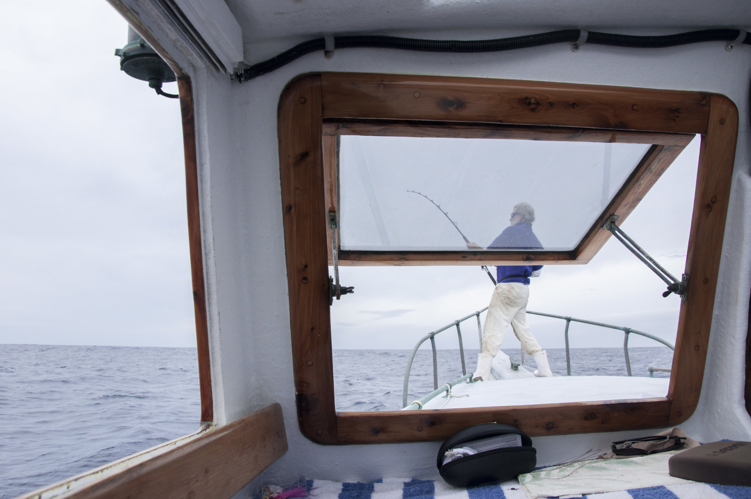  Fishing Charters in Bermuda 