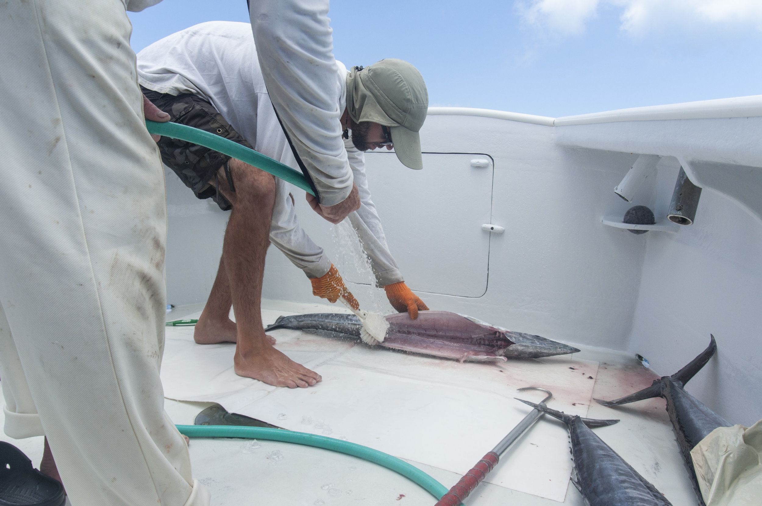  Fishing Charters in Bermuda 