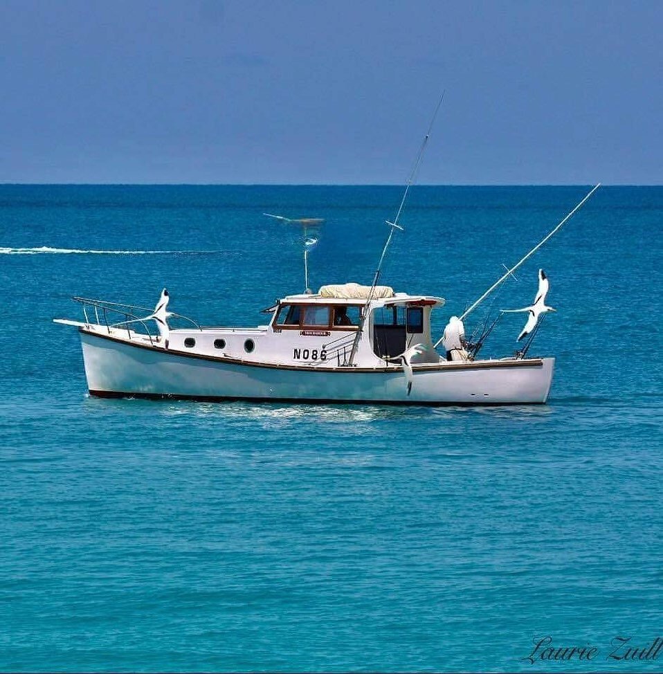 One of the most stunning photos of our gal, Troubadour, Cap&rsquo;t Jim, and some longtails! Special thanks to @lauriezuill for the shot! 
.
.
.
#bermuda #bermudafishing #fishingcharter #gotobermuda #wearebermuda #islandvibes #bluesea #getonthewater 