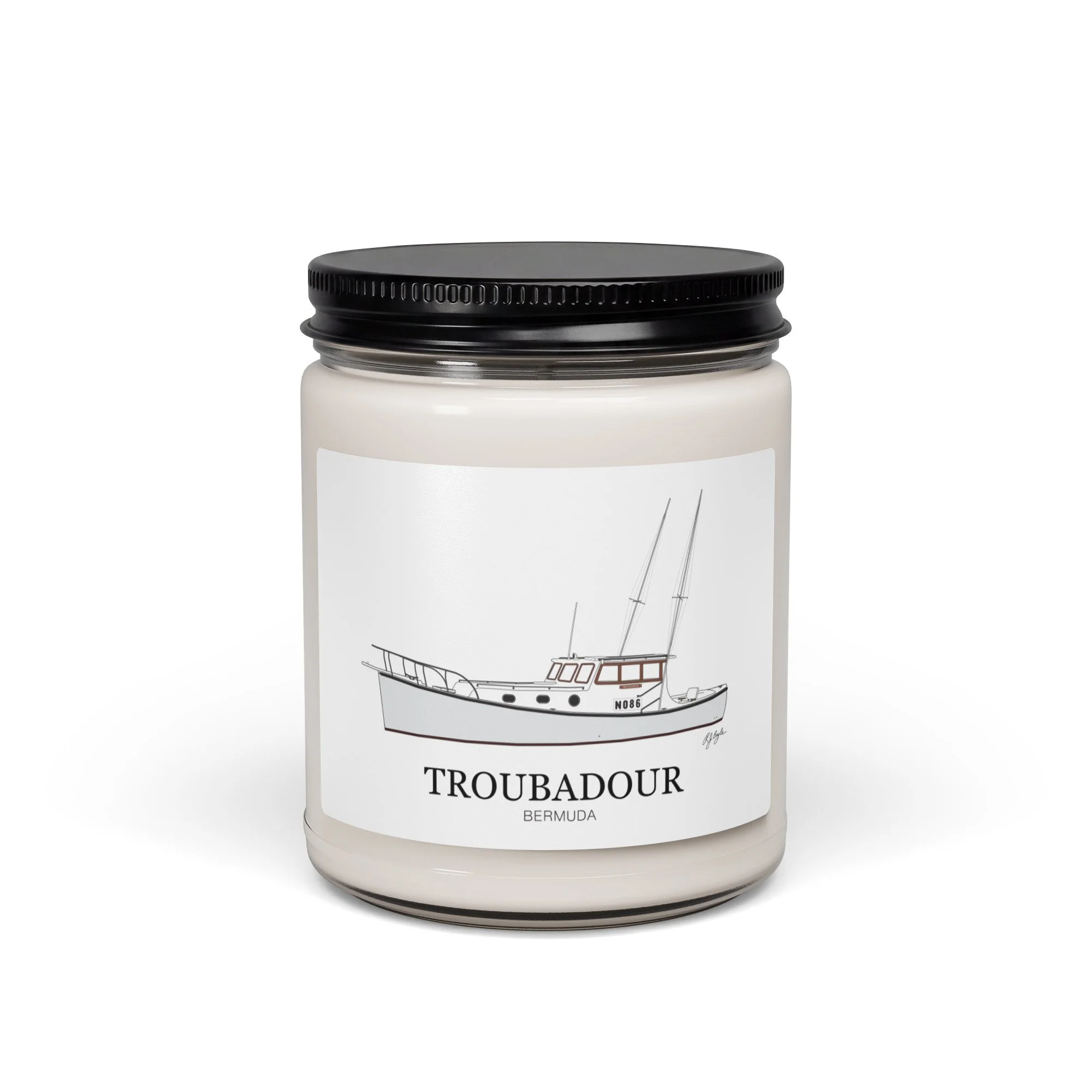 scented-soy-candle,-9oz-sea-salt-and-orchid-front-6ae22c2590999.jpg