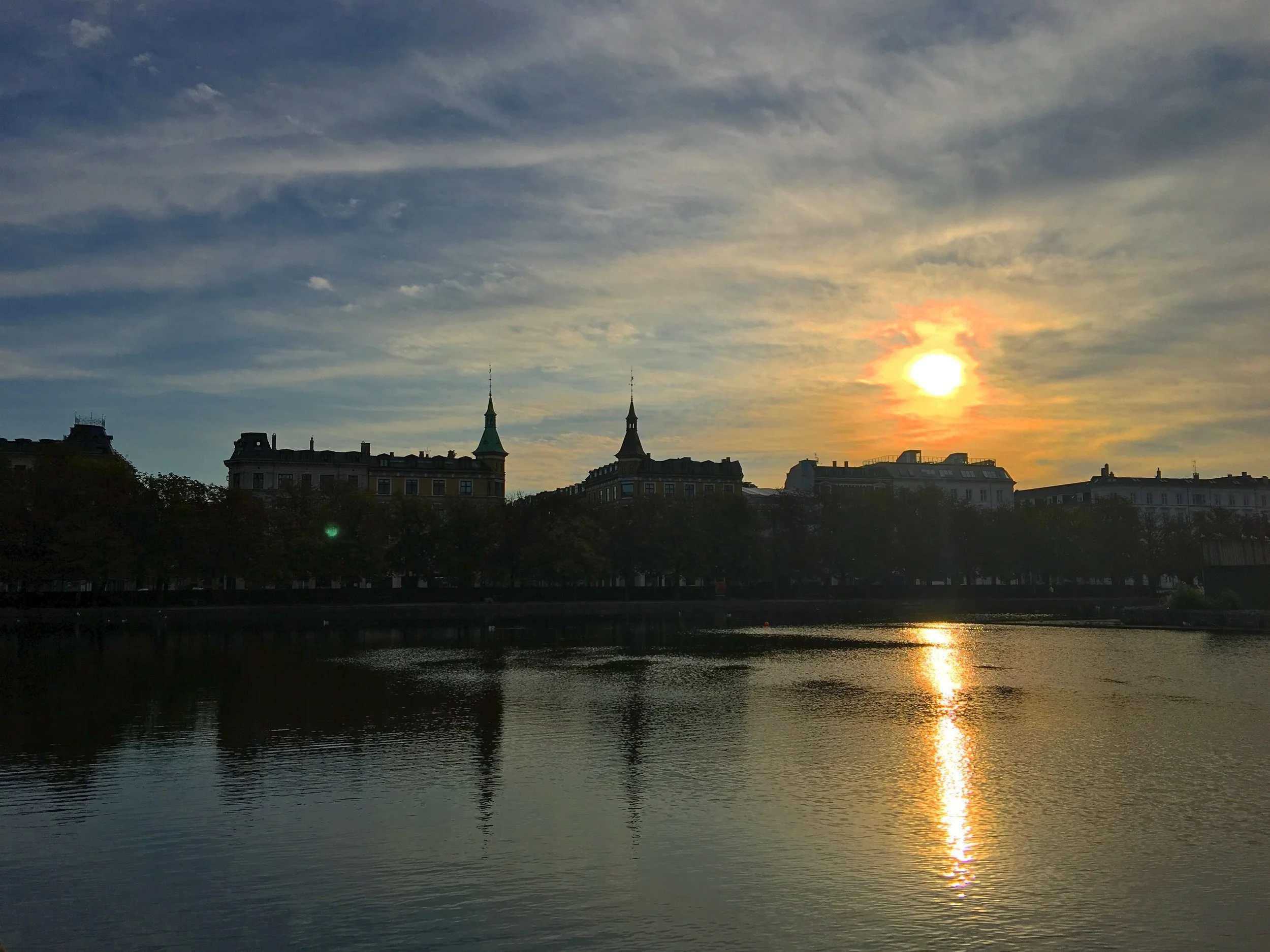 IMG_9541.jpg