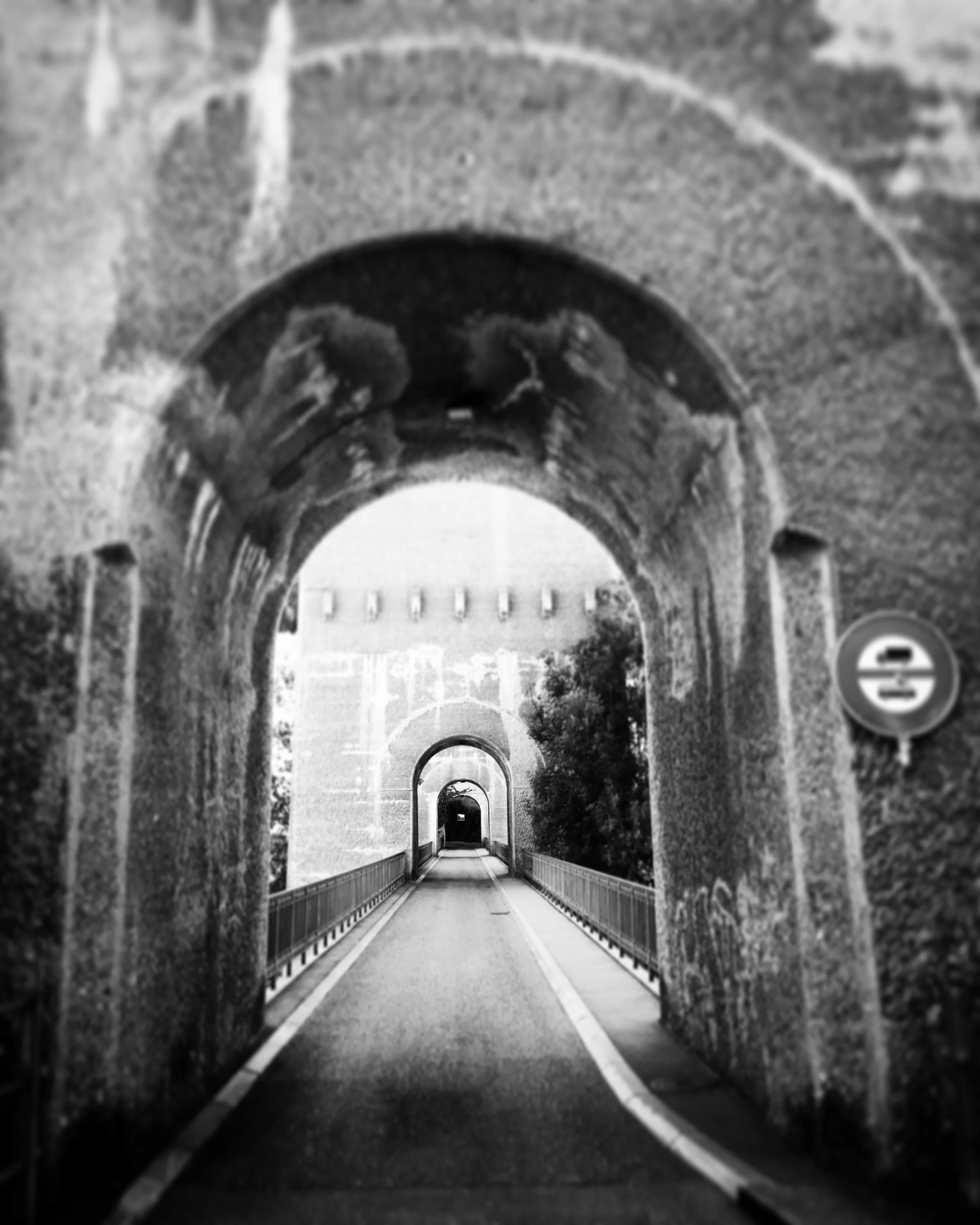 IMG_1683 (1).jpg