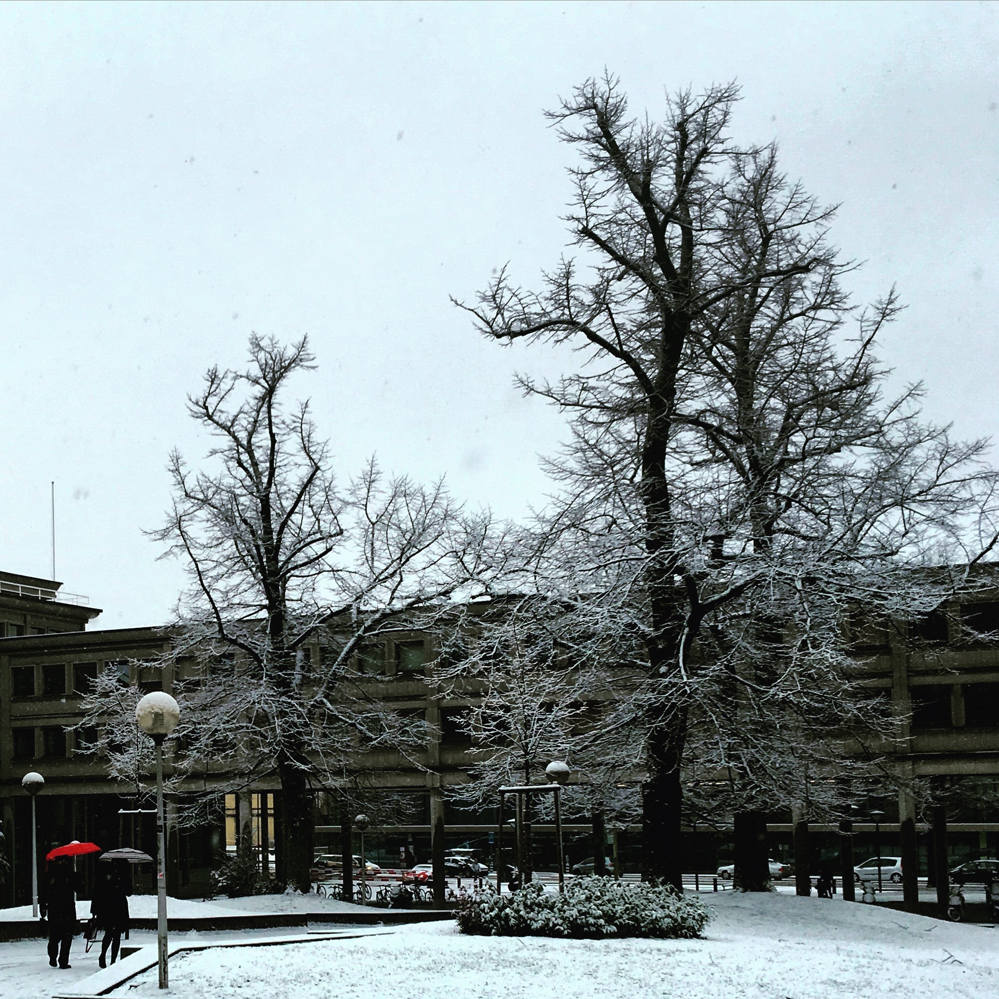 The main campus of the University of Fribourg was designed by Honegger and Dumas, students of Swiss architect Le Corbusier.
