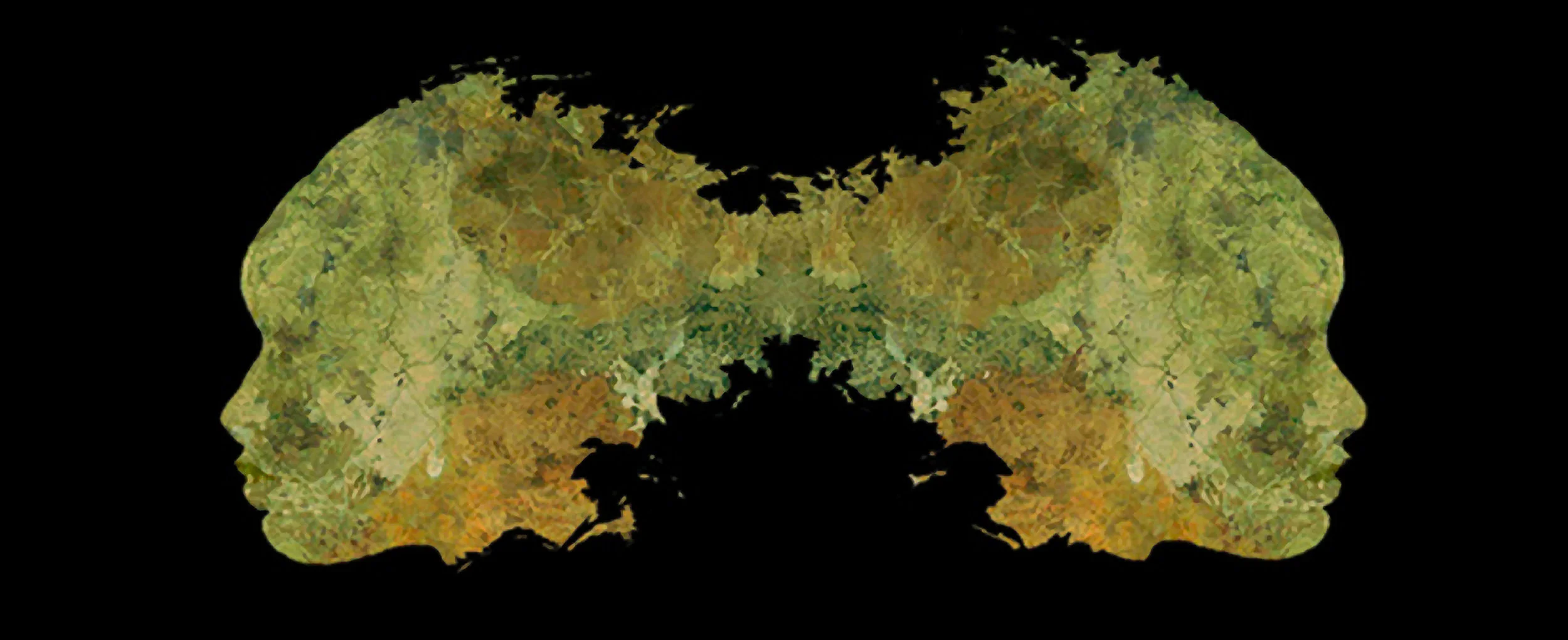 Untitled (Twins)