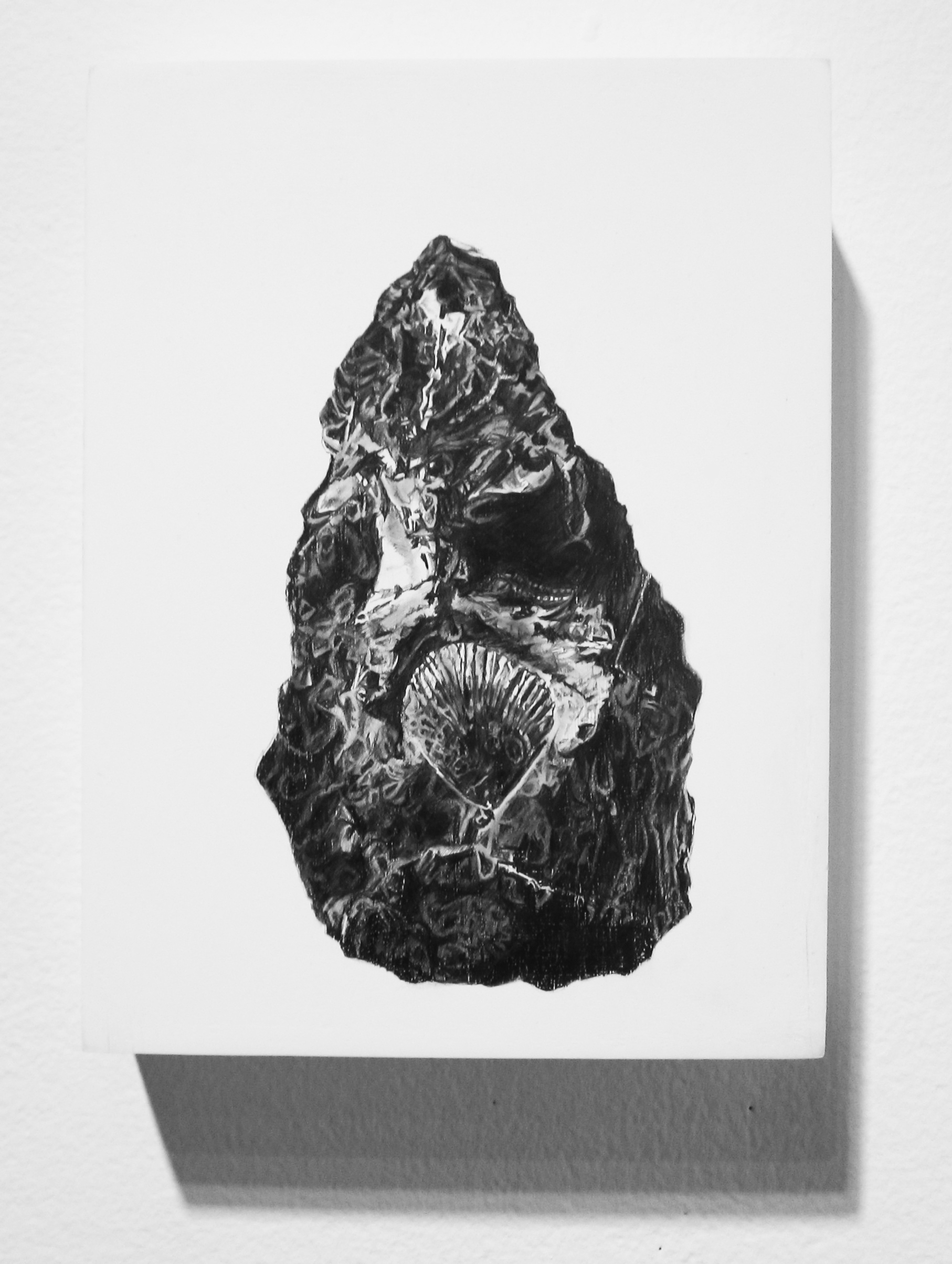 Fossil