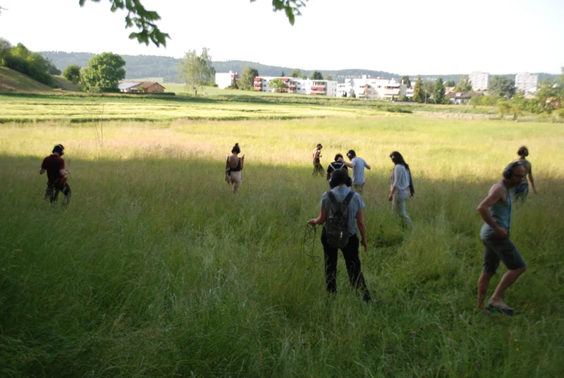 meadow.jpg