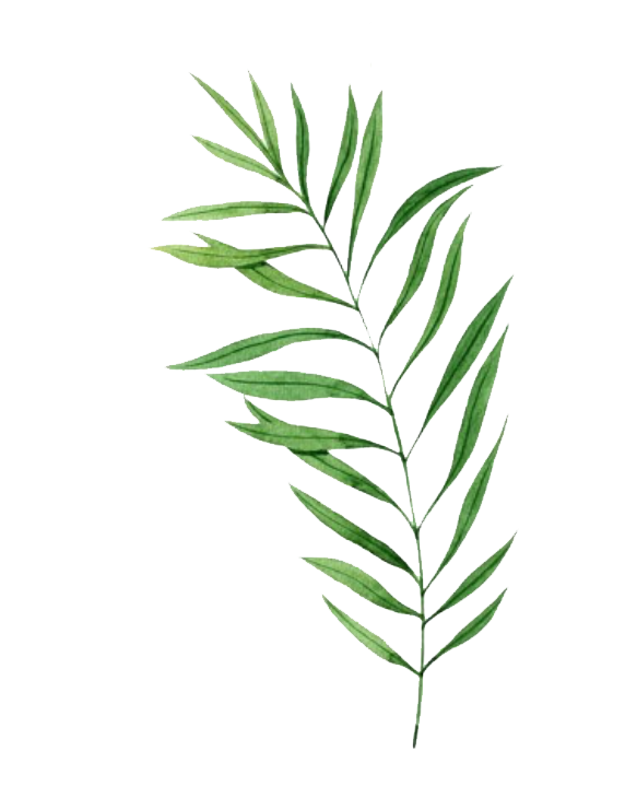 leaf9.png