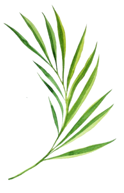 leaf11.png