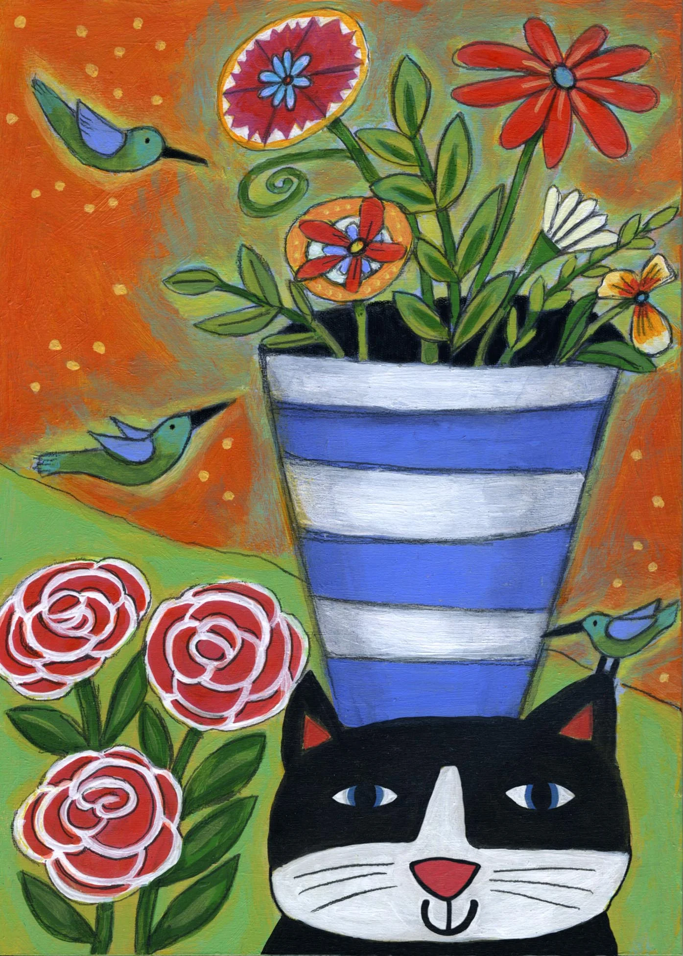 Hummingbird Cat