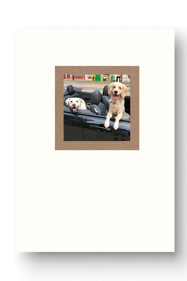 Greeting Cards 8.png