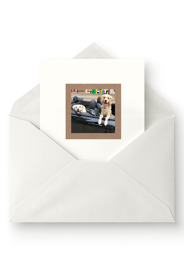 Greeting Cards 9.png