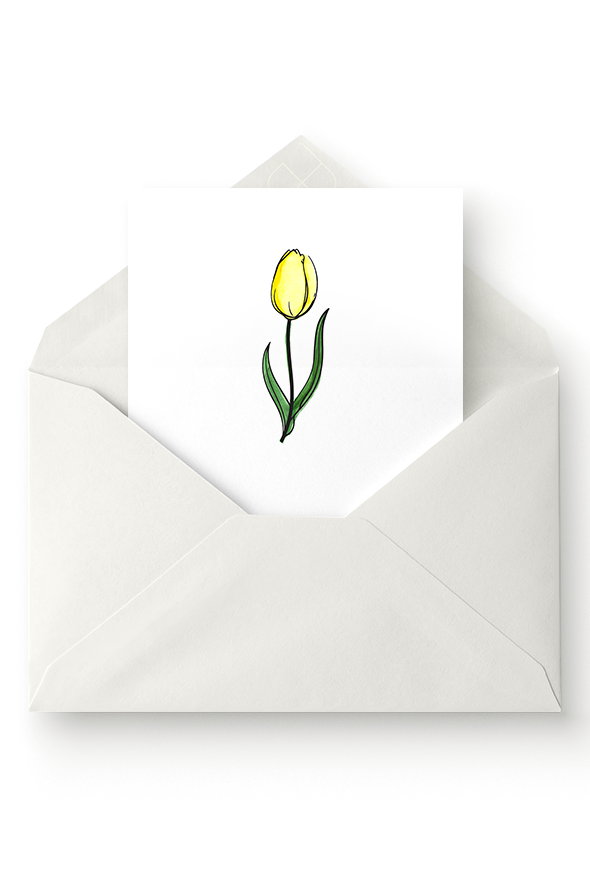 CAD-Shop-High-Res_Greeting-CardsytLight-Envelope.png