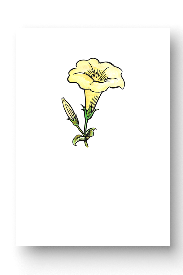 CAD-Shop-High-Res_Greeting-Cards-daffoA7-Vertical.png