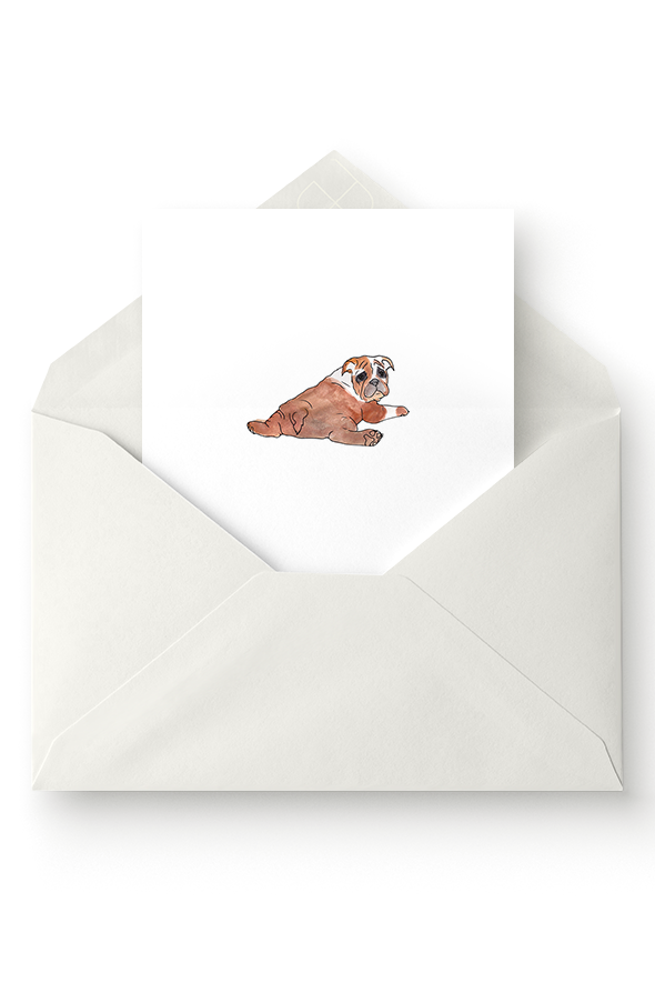 CAD-Shop-High-Res_Greeting-CardsbullyLight-Envelope.png