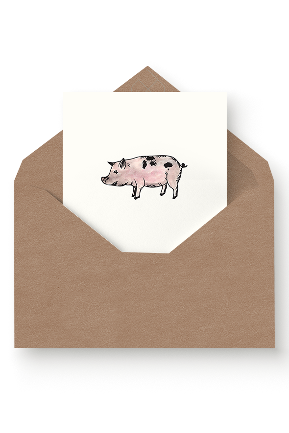 CAD-Shop-High-Res_Greeting-Cards-pigKraft-Envelope.png