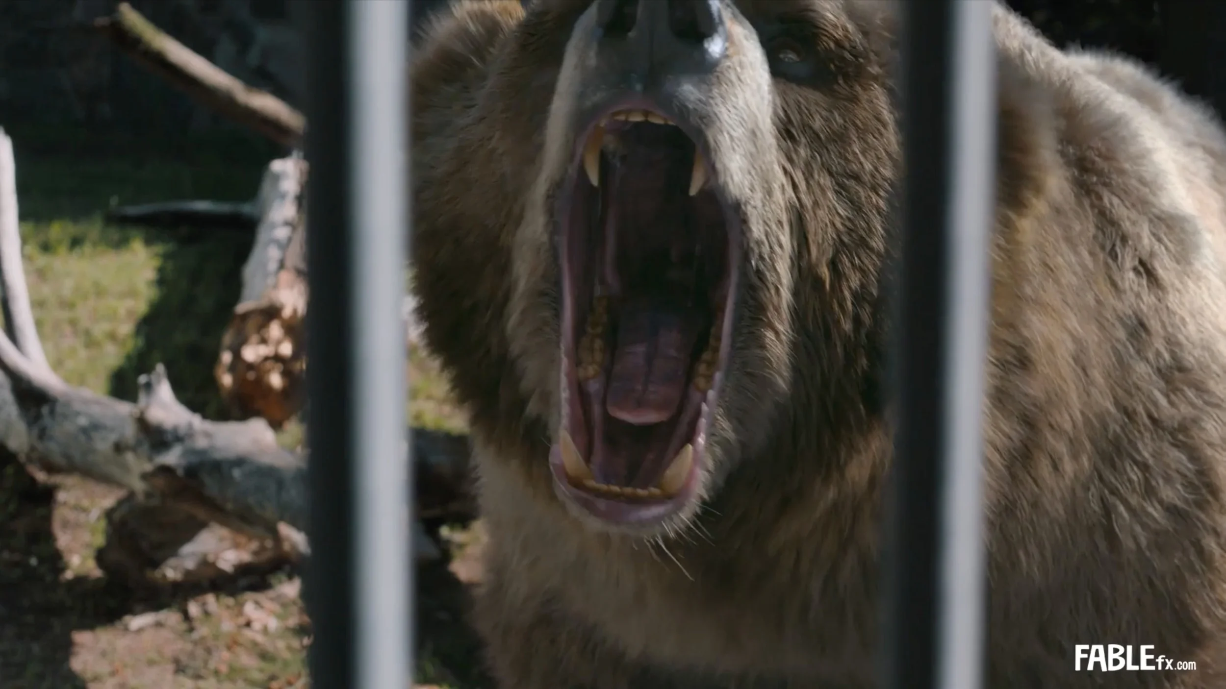 Don’t Tease the Bear! FABLEfx creates a bear for BMW