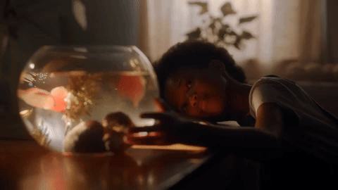 ML - Narghi - Dream Big.gif