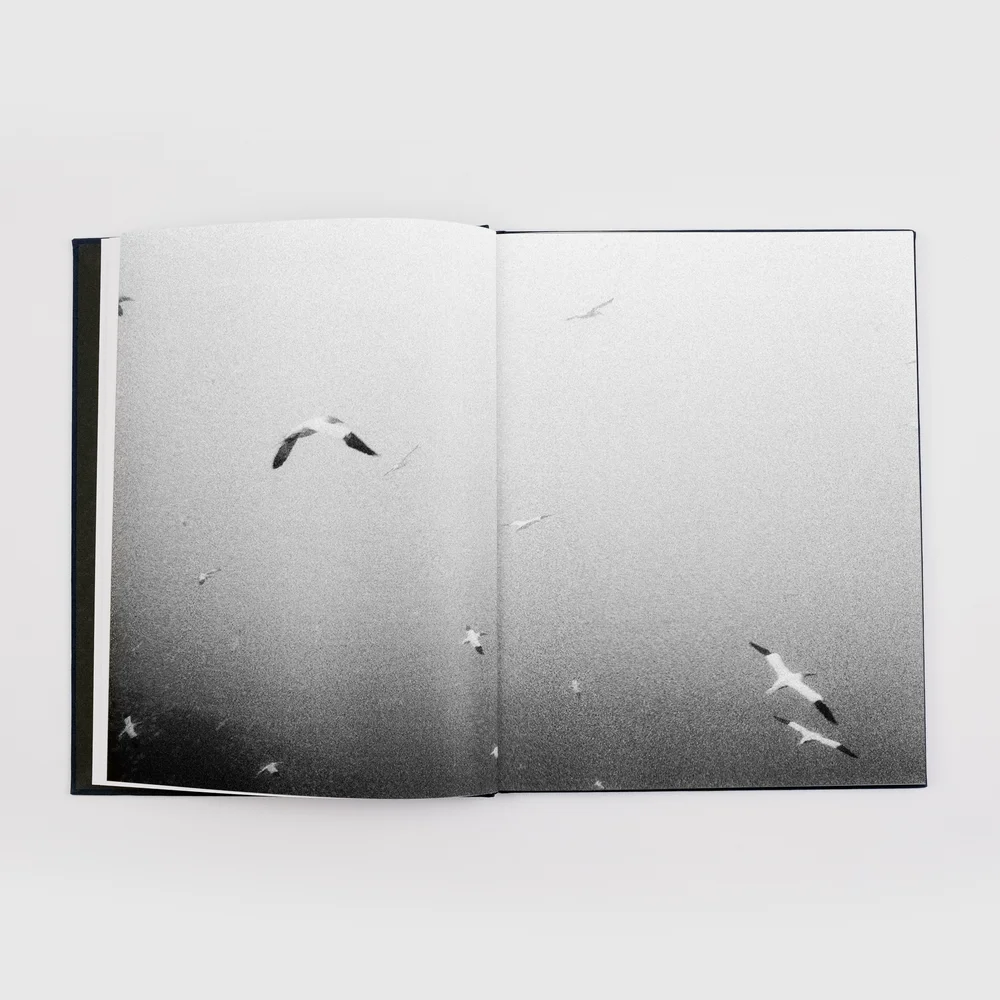 Echo Mask — Charcoal Press