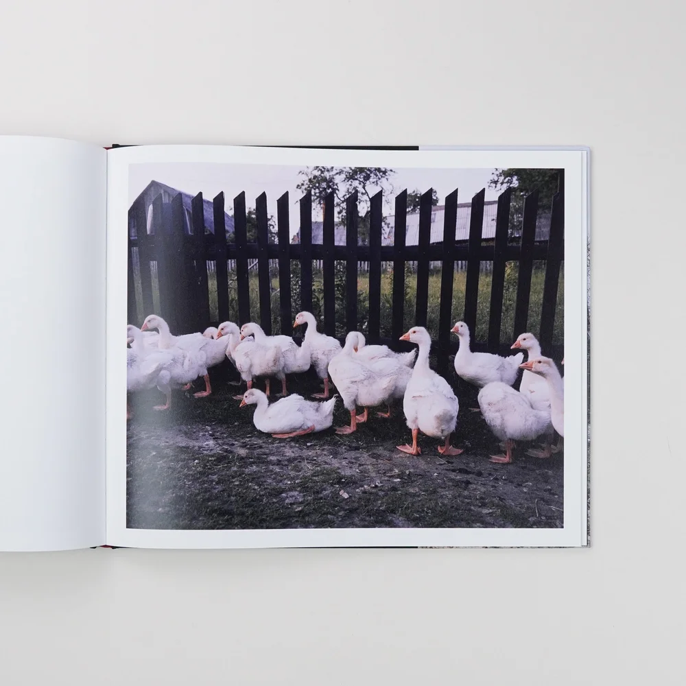 Gandras — Charcoal Press