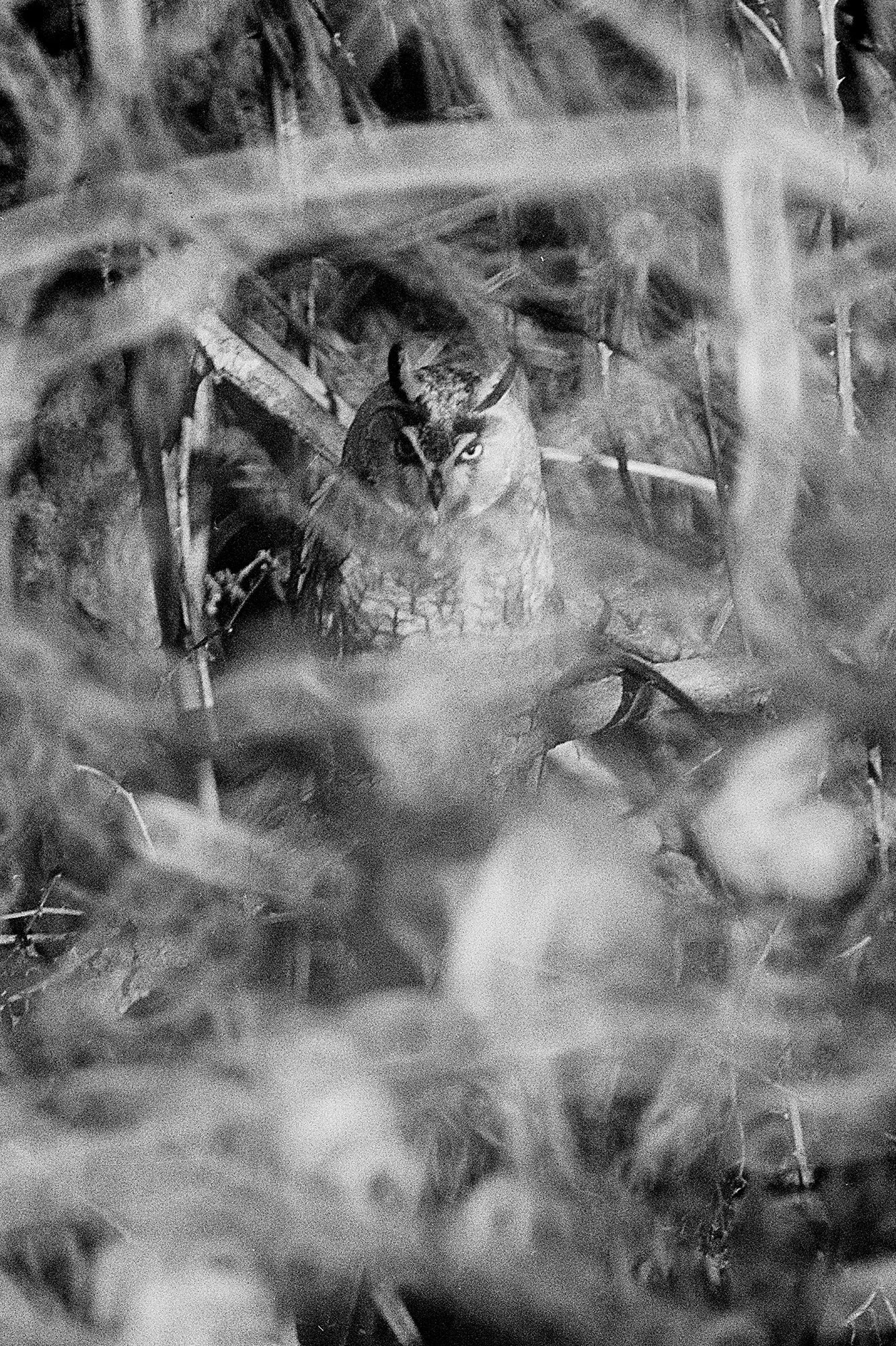 Blank Notes 09 copy.jpg