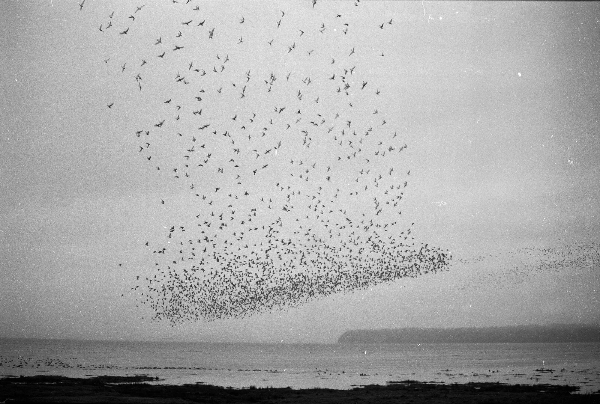 Blank Notes 11 copy.jpg